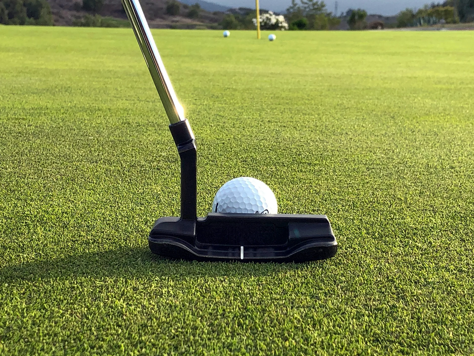 A putter and golf ball on a sunlit outdoor putting green