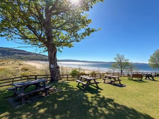 Picnic tables beneath a tree overlooking the beach at Tralee Bay